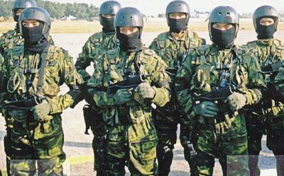 臺(tái)灣軍事新聞最新消息概覽