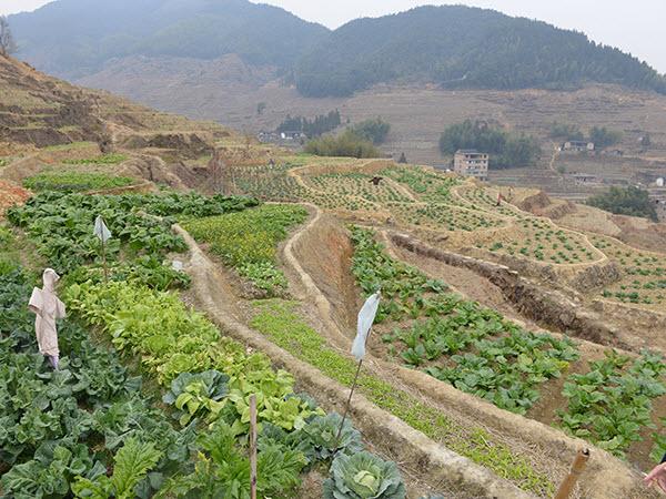 泉州旅游必去十大景點(diǎn)推薦——探索千年古城的魅力之旅，泉州旅游必去十大景點(diǎn)探索之旅，千年古城魅力之旅