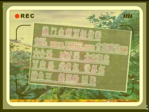 關(guān)于復(fù)式出肖與六肖中四肖的奇妙組合，探索四組四肖的奧秘，復(fù)式出肖與四組四肖的奇妙組合，探索六肖中四肖的奧秘