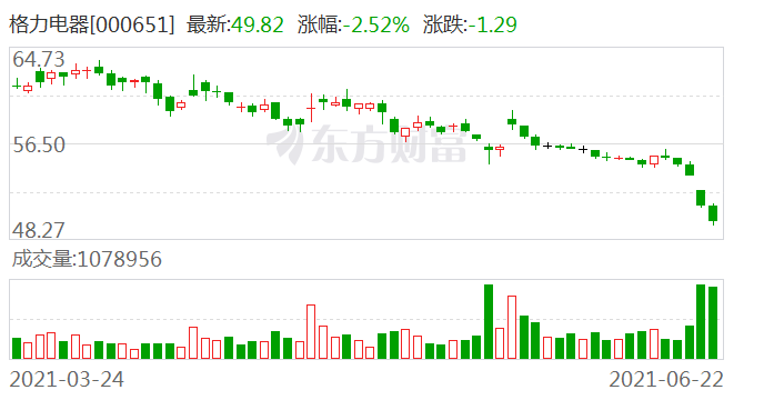 格力電器股票投資分析，前景、趨勢與策略，格力電器股票投資前景、趨勢及策略深度解析