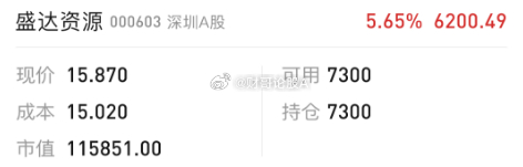 股票600392，深度解析與市場前景展望，股票600392深度解析及市場前景展望
