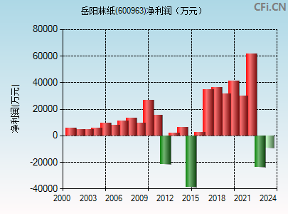 股票600963，深度解析與前景展望，股票600963深度解析與未來前景展望