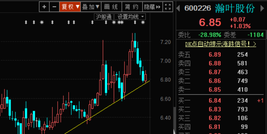 揭秘瀚葉股份，探索600226背后的故事，瀚葉股份揭秘，探索代碼背后的故事 600226
