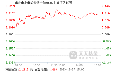 華安中小盤(pán)成長(zhǎng)混合基金（代碼，040007）的投資策略與市場(chǎng)前景分析，華安中小盤(pán)成長(zhǎng)混合基金投資策略與市場(chǎng)前景深度解析（代碼，040007）
