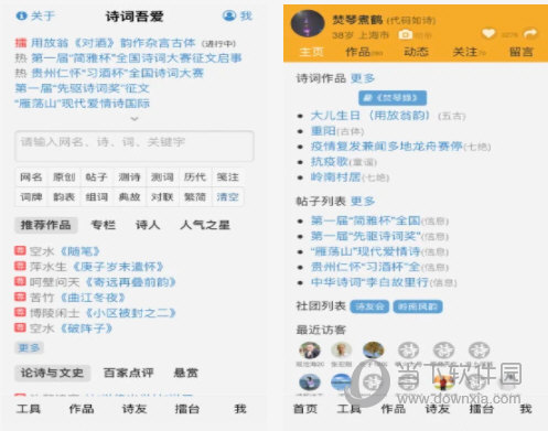 關(guān)于九肖十碼圖片的SEO文章，九肖十碼圖片SEO優(yōu)化攻略