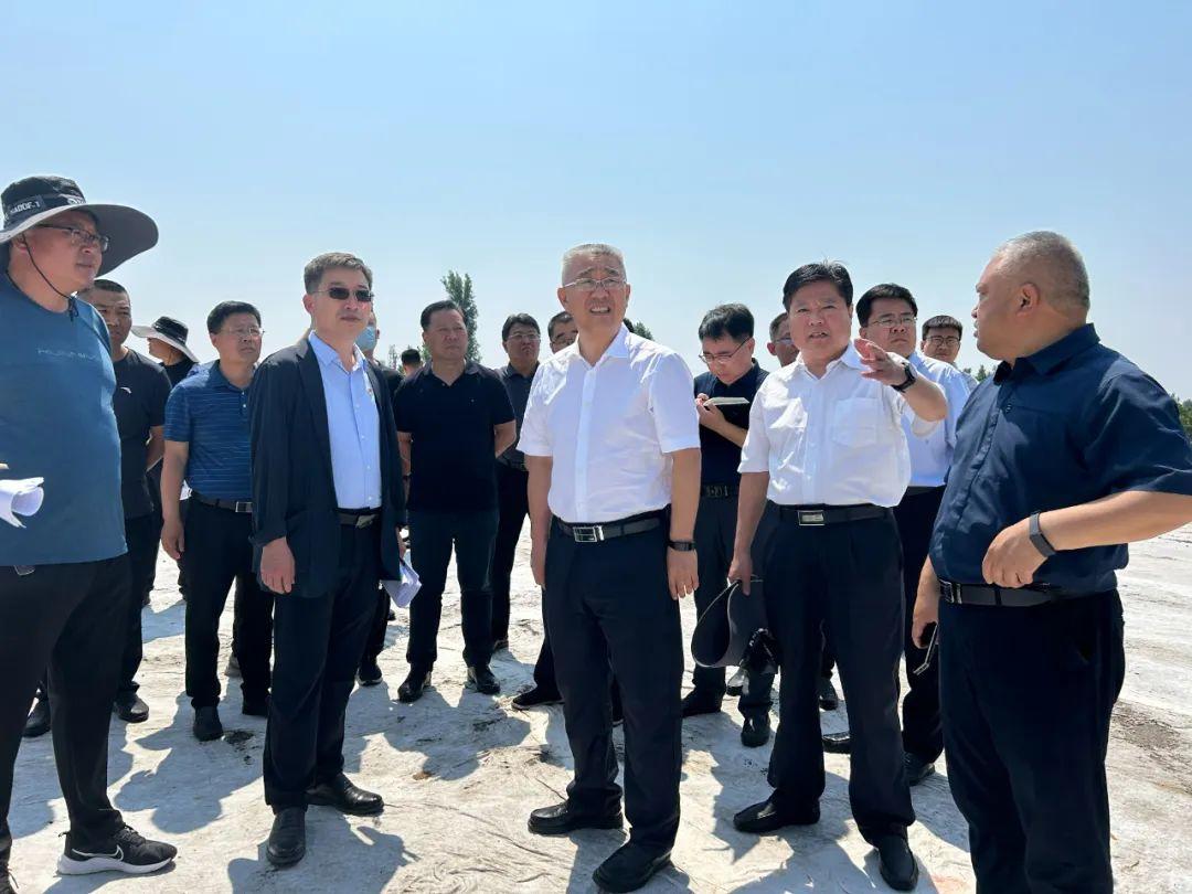 通達(dá)動力股票行情深度解析，通達(dá)動力股票行情全面解析