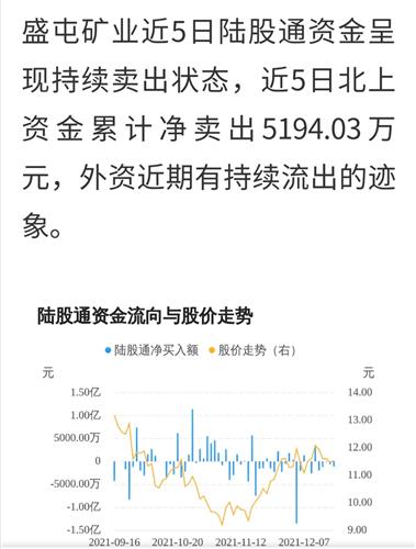 盛屯礦業(yè)（600711）股吧，深度解析與前景展望，盛屯礦業(yè)（600711）股吧，深度剖析及未來前景展望