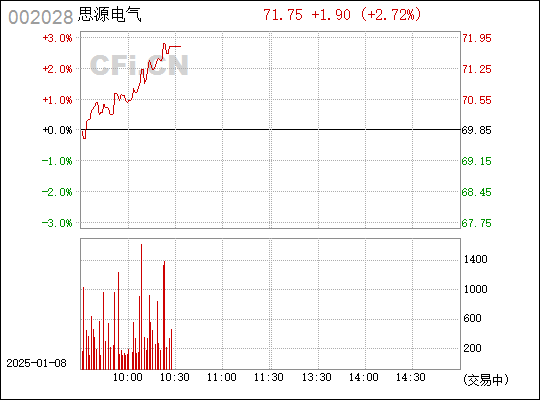 思源電氣股票（股票代碼，002028）深度解析，思源電氣股票（股票代碼002028）全方位深度解析