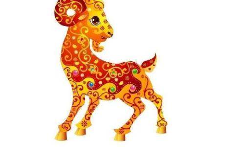關(guān)于五肖中六個(gè)生肖的組數(shù)分析，五肖中六個(gè)生肖組數(shù)深度解析