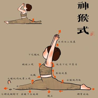 十二生肖一字馬圖片，探索傳統(tǒng)與現(xiàn)代的融合之美，十二生肖一字馬圖片，傳統(tǒng)與現(xiàn)代融合之美的探索