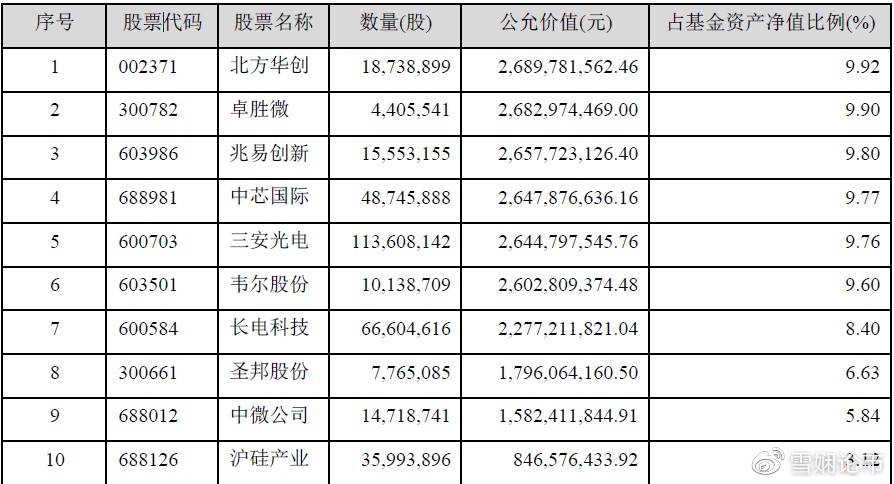 中芯國際股票的投資前景深度解析，中芯國際股票投資前景深度剖析