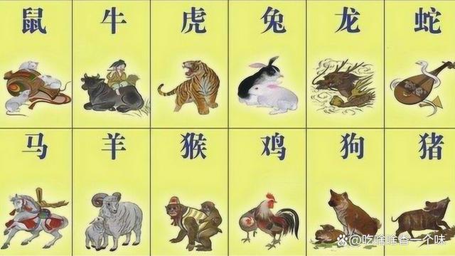 一碼二碼揭秘，揭秘生肖的神秘數(shù)字密碼，揭秘生肖數(shù)字密碼，一碼二碼神秘解讀
