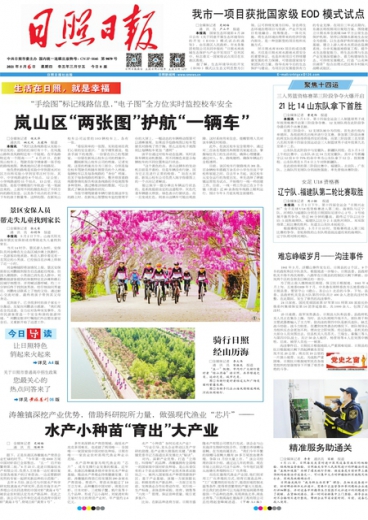 一肖一碼免費(fèi)公開，揭秘背后的真相與實(shí)質(zhì)，揭秘一肖一碼背后的真相與實(shí)質(zhì) 免費(fèi)公開揭秘真相