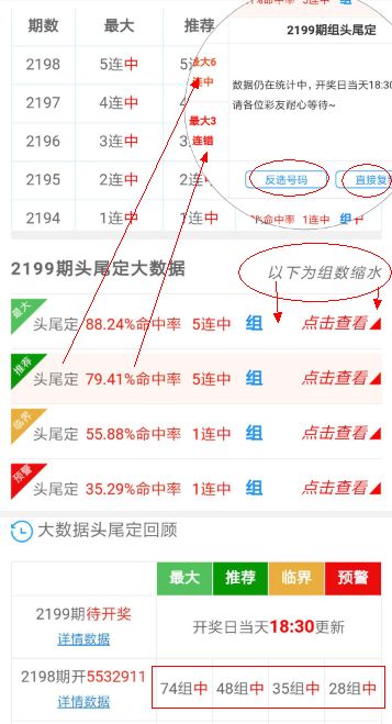 揭秘十碼必中期期準(zhǔn)十碼爆特，揭秘背后的秘密與策略，揭秘十碼必中策略，期期準(zhǔn)爆特與秘密解析