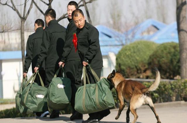 探究義務(wù)兵不愿留隊的原因，探究義務(wù)兵不愿留隊背后的深層次原因