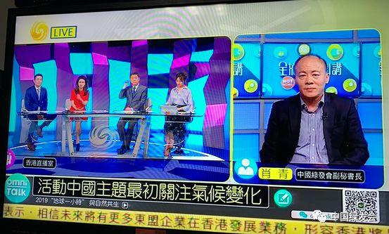 鳳凰論壇一肖連準(zhǔn)，深度解析與SEO優(yōu)化策略，鳳凰論壇一肖連準(zhǔn)深度解析與SEO優(yōu)化策略探討