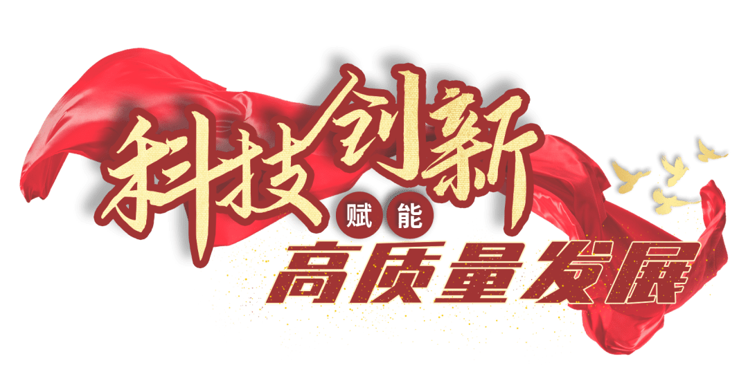 探索豐收論壇二肖④碼的獨特魅力與奧秘，豐收論壇二肖④碼，獨特魅力與奧秘的探索