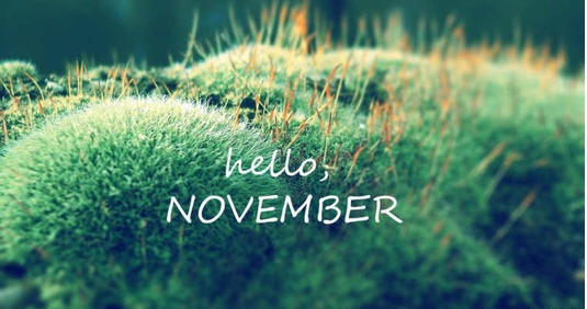 November是幾月，深度解析這個秋季月份的特點(diǎn)與重要性，November深度解析，秋季月份的特點(diǎn)與重要性