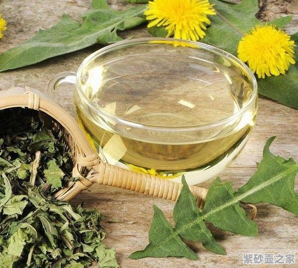 蒲公英茶，揭示其功效與作用的神秘面紗，蒲公英茶，揭開(kāi)功效與作用的神秘面紗