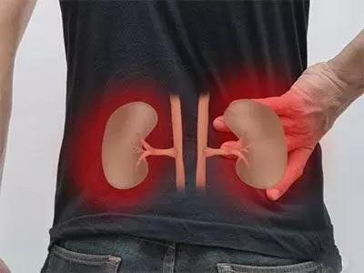 腎陰虛與腎陽虛的區(qū)別，中醫(yī)理論下的陰陽平衡探討，腎陰虛與腎陽虛之別，中醫(yī)視角下的陰陽平衡深度解析