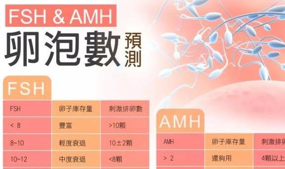 最簡單一招辨別懷孕——輕松了解懷孕跡象，懷孕跡象一目了然，最簡便的自我辨別方法