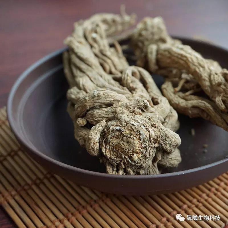 川芎，神奇的中藥功效與作用，川芎，神奇的中藥功效揭秘