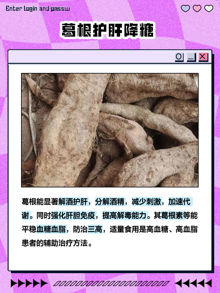 葛根的功效與作用，深入了解傳統(tǒng)中藥材的魅力，葛根的功效與作用，揭示傳統(tǒng)中藥材葛根的獨(dú)特魅力