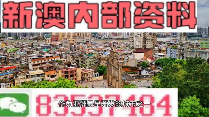 澳門碼二四十八期深度解析與預測，澳門碼二四十八期深度解析與預測報告揭秘