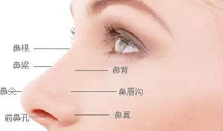 關(guān)于隆鼻手術(shù)的費(fèi)用，你需要知道的一切，隆鼻手術(shù)費(fèi)用全解析，你需要知道的一切