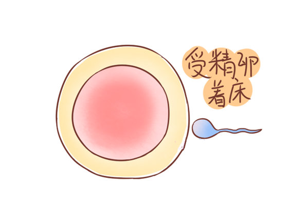著床征兆，八大跡象揭示你成功懷孕，著床征兆揭秘，八大跡象預(yù)示成功懷孕