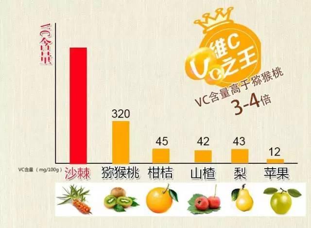 沙棘的功效與作用，揭示神奇的自然療法之源，沙棘的神奇妙效與天然療法作用揭秘