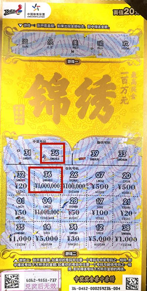 揭秘九肖中特，全年無錯預測的秘密，揭秘九肖中特，全年無錯預測的神秘面紗