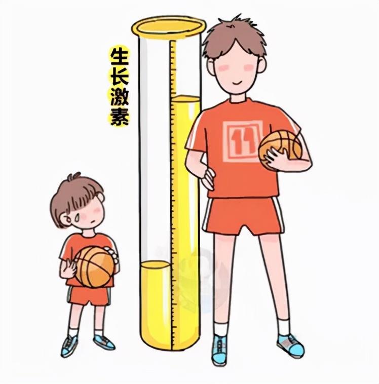生長激素的價格，多少錢一針？全面解析，生長激素價格詳解，一針究竟多少錢？