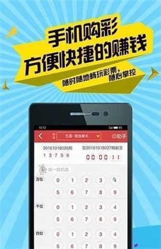 王中王網(wǎng)二肖四碼，深度解析與SEO優(yōu)化策略，王中王網(wǎng)二肖四碼深度解析與SEO優(yōu)化策略指南