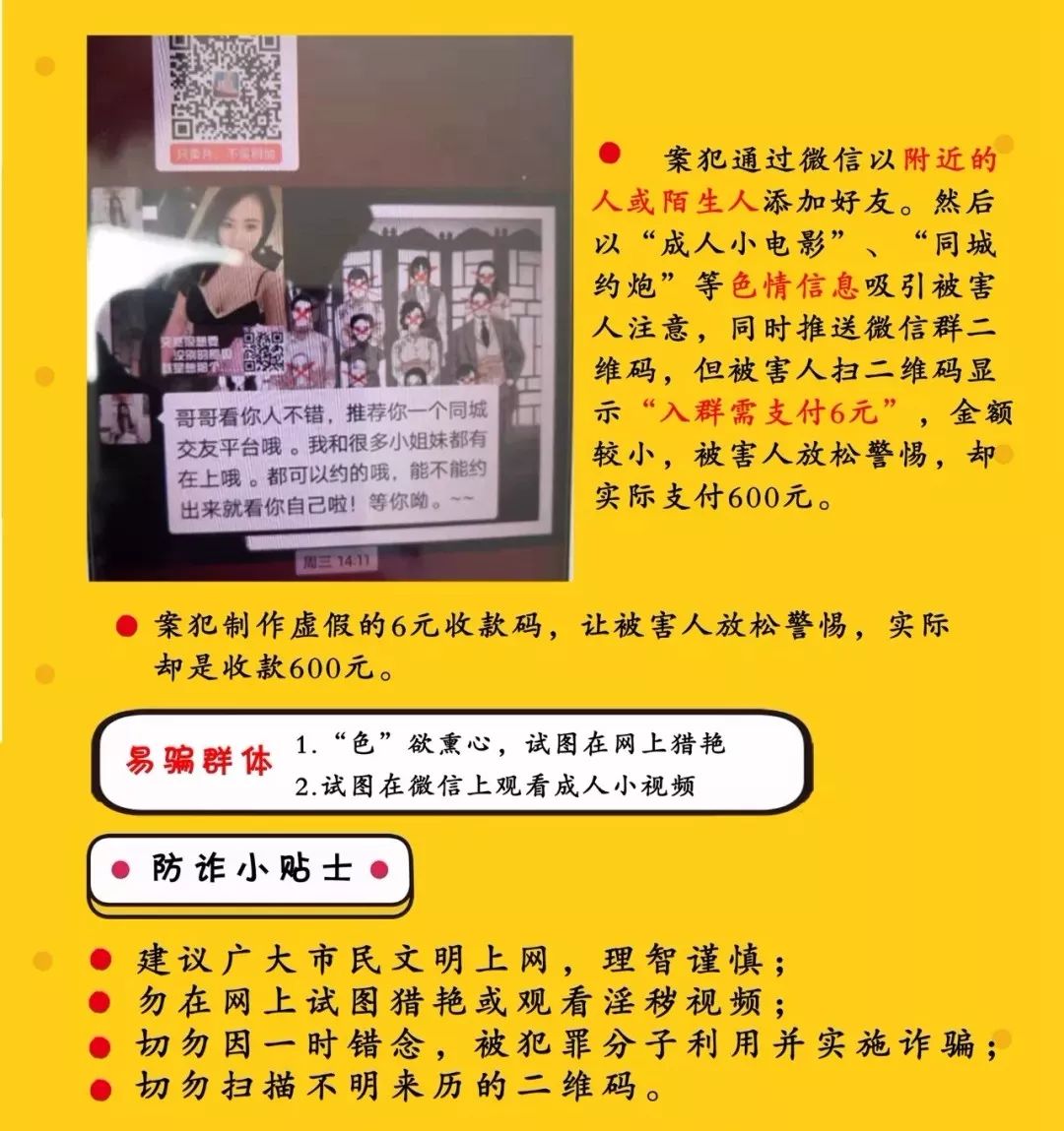 鄭小姐特碼報，揭秘背后的故事與探索未來趨勢，鄭小姐特碼報揭秘，背景故事與未來趨勢探索