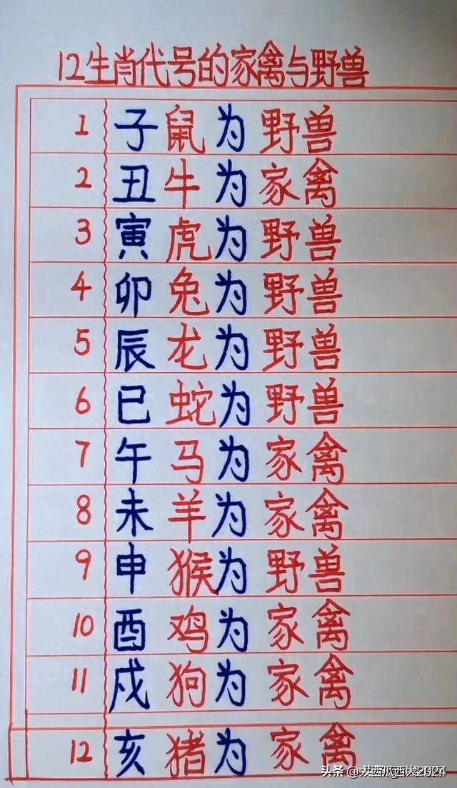 十二生肖一字代號，探尋神秘文化符號背后的深意，十二生肖一字代號，探尋文化符號背后的深層含義