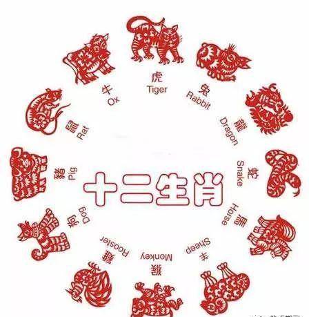 十字碼相連是什么生肖——揭秘古老神秘文化中的生肖與數(shù)字關(guān)聯(lián)，十字碼相連背后的生肖與數(shù)字之謎，古老文化中的神秘關(guān)聯(lián)揭秘