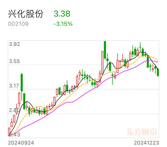 興化股份股吧，深度解析與前景展望，興化股份股吧，深度解析及前景展望
