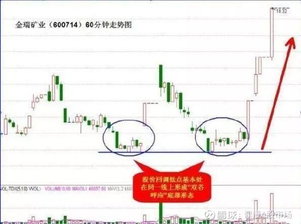 探索股市之路，聚焦600714股吧的獨(dú)特魅力，揭秘股市奧秘，聚焦600714股吧的獨(dú)特魅力