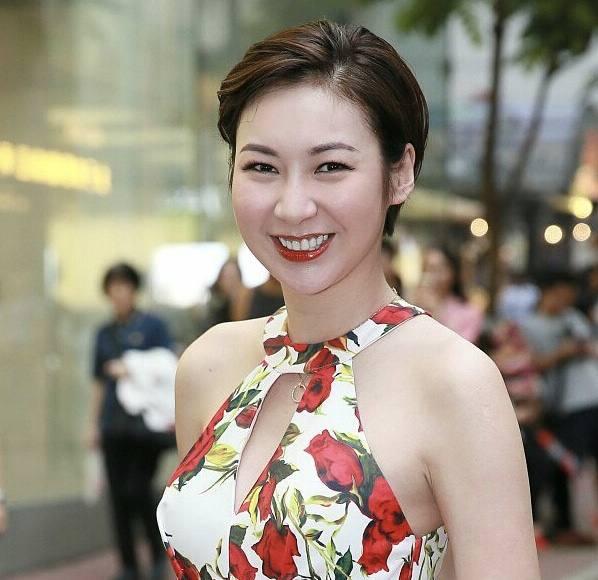 香港TVB女星，璀璨閃耀的影視之星，香港TVB女星，影視界的璀璨之星