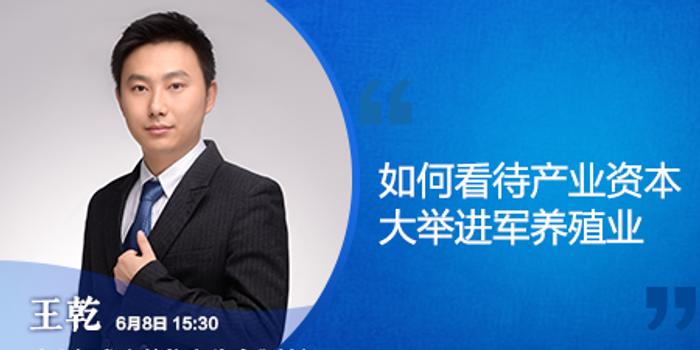 深度解析600255在新浪財經(jīng)的表現(xiàn)與前景展望，深度解析，600255在新浪財經(jīng)的表現(xiàn)及未來前景展望