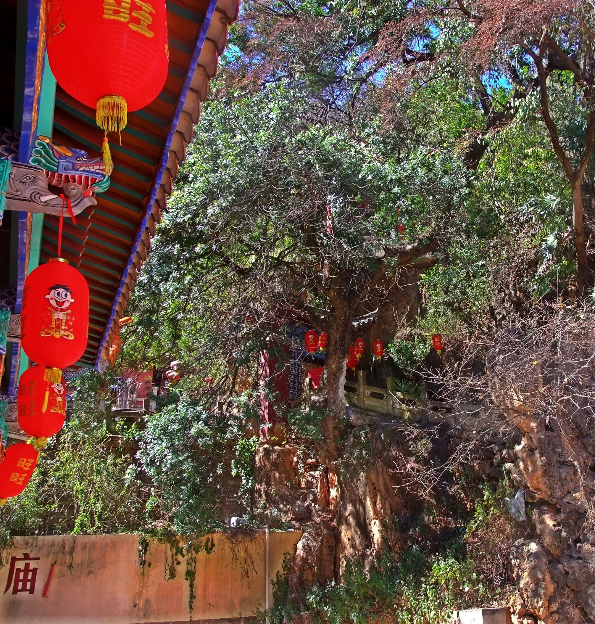 雙指探洞，揭秘背后的神秘與技巧，雙指探洞，神秘技巧大揭秘