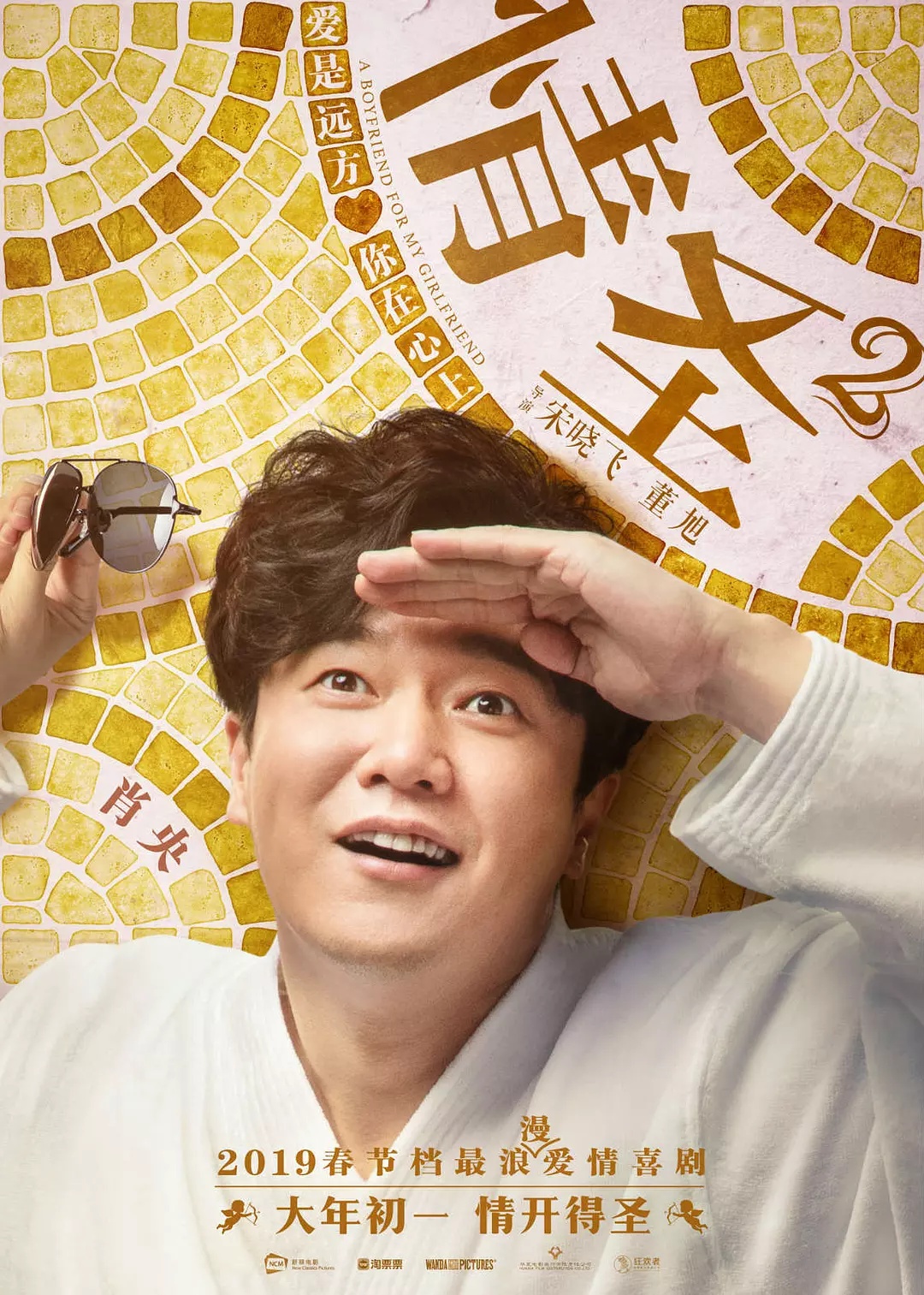 情圣2，深度解析與探討，情圣2，深度剖析與多維探討