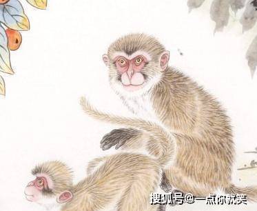 揭秘十二生肖三肖一碼，探尋千年傳統(tǒng)與神秘文化的交融，揭秘十二生肖三肖一碼，傳統(tǒng)與神秘文化的交融之旅