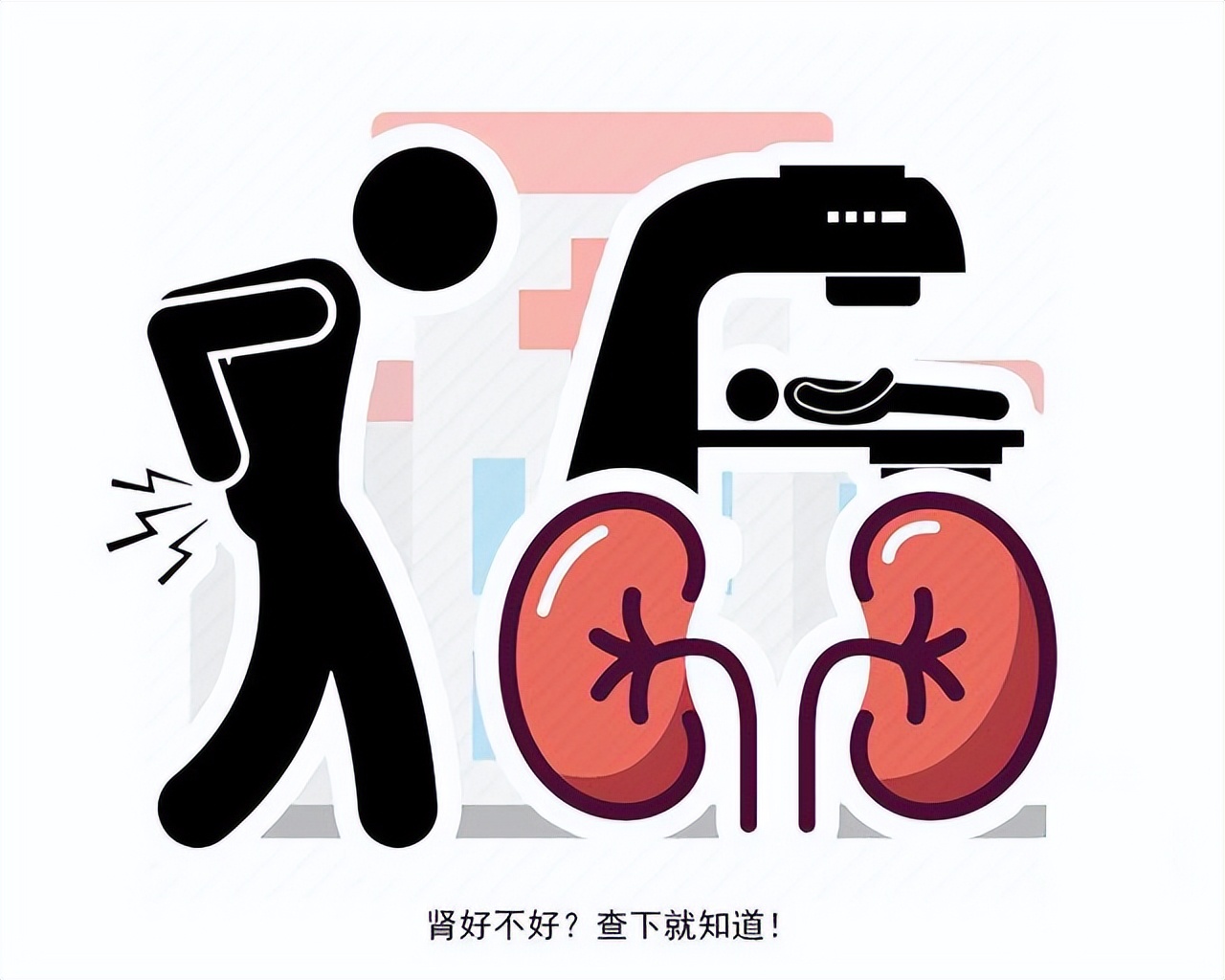 腎功能下降十大征兆，預(yù)防與應(yīng)對措施，腎功能下降征兆及預(yù)防應(yīng)對措施指南