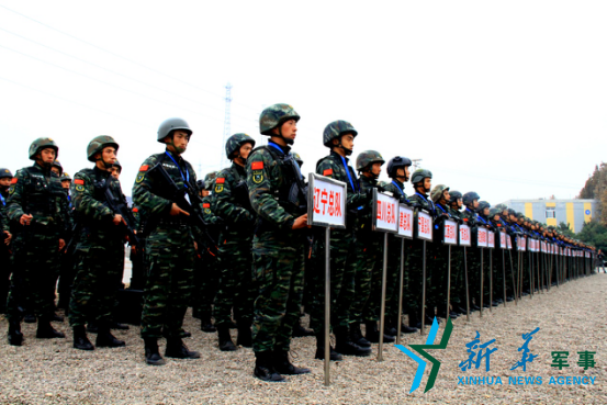 武警部隊(duì)，職責(zé)、功能與重要性，武警部隊(duì)，職責(zé)、功能與不可或缺的重要性