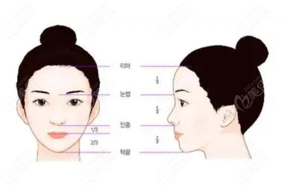 鼻梁整形手術(shù)費用詳解，多少錢才能實現(xiàn)美麗夢想？，鼻梁整形手術(shù)費用全解析，實現(xiàn)美麗夢想的預算與費用探討