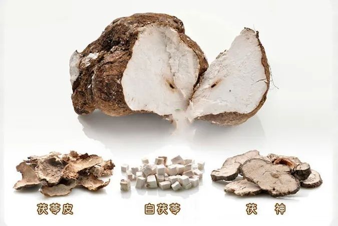 茯苓，古老草本的神奇功效與SEO價值，茯苓，神奇功效與SEO價值的古老草本探索