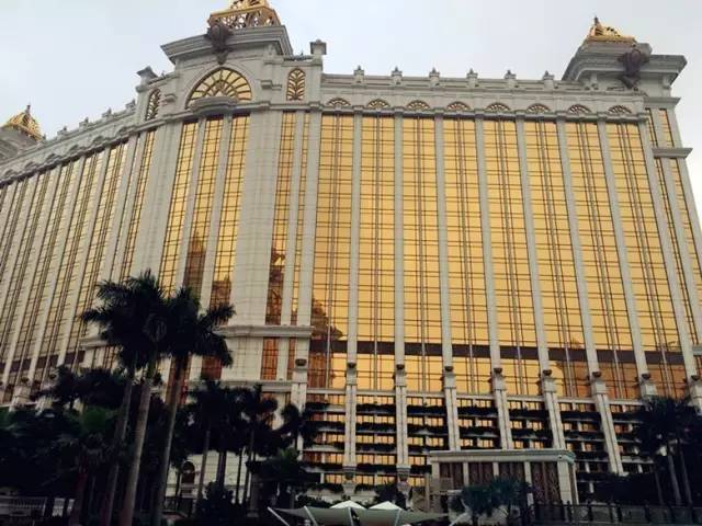 澳門半波單雙王，揭秘背后的秘密與策略，澳門半波單雙王背后的策略與秘密揭秘