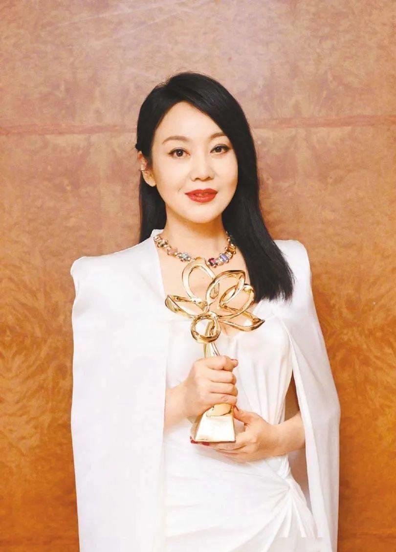 飛天獎女演員，璀璨星辰下的演藝榮光，飛天獎女演員，演藝榮光，星辰璀璨